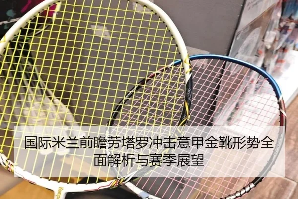 国际米兰前瞻劳塔罗冲击意甲金靴形势全面解析与赛季展望