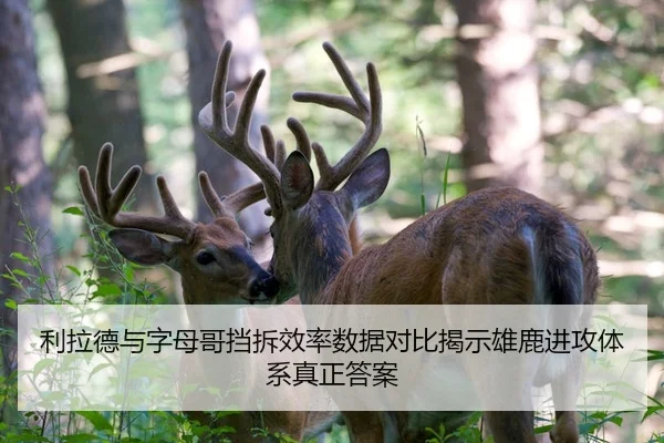 利拉德与字母哥挡拆效率数据对比揭示雄鹿进攻体系真正答案