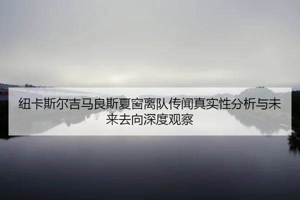 纽卡斯尔吉马良斯夏窗离队传闻真实性分析与未来去向深度观察